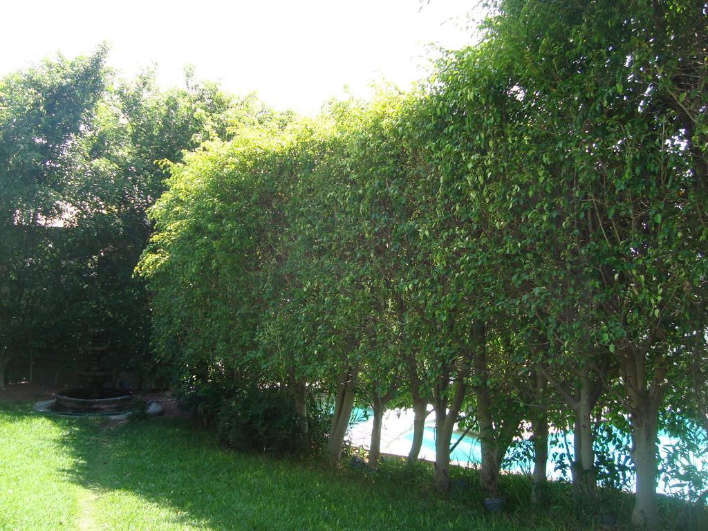 Hotel Teques Inn Tequesquitengo Exterior photo